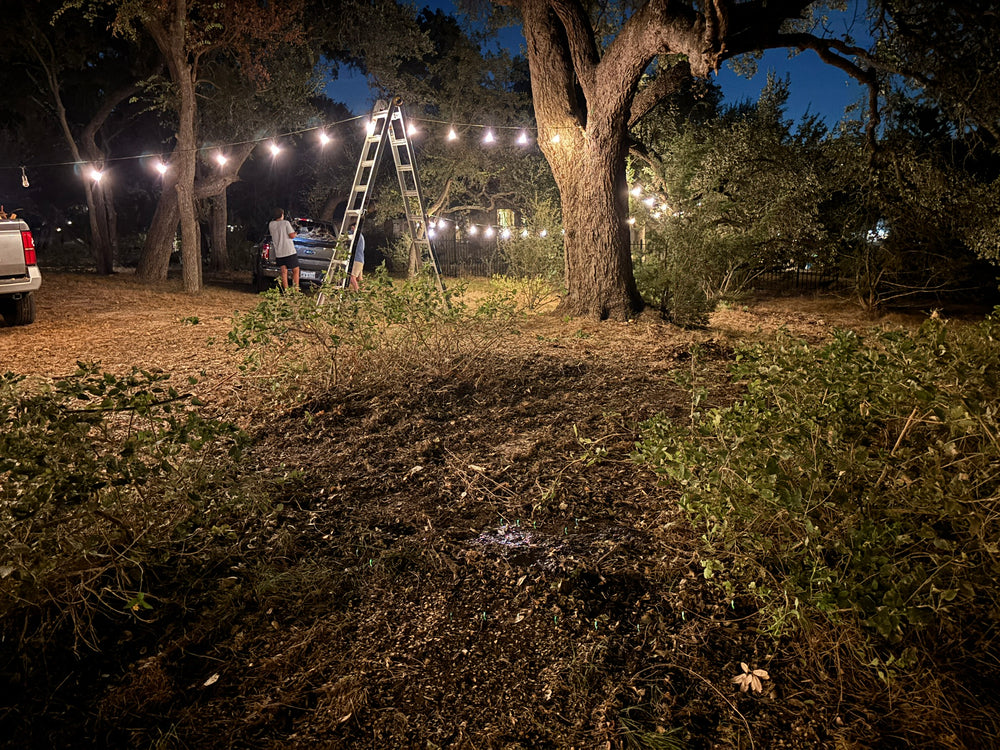 After - Brush & Yard Debris Removal
