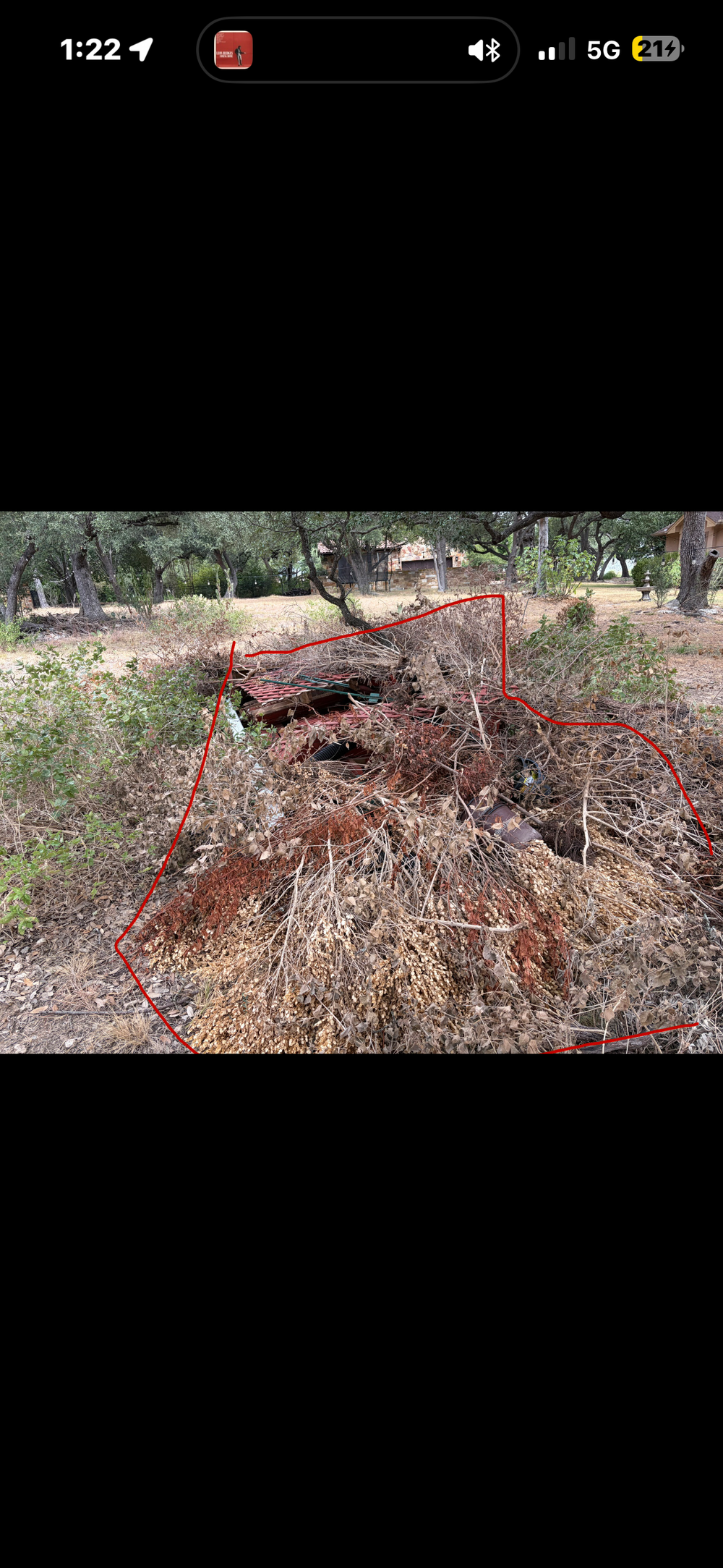 Before - Brush & Yard Debris Removal