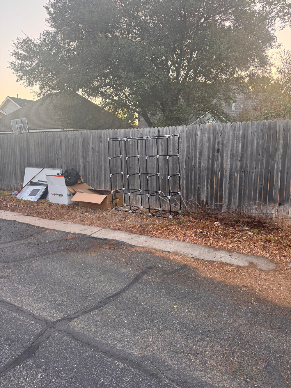 Before - Fence Line Cleanup